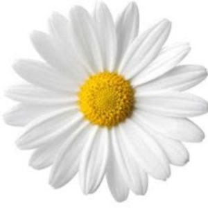 Meet your Posher, Madelyn